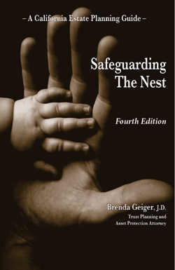 Safeguarding The Nest – Fourth Edition